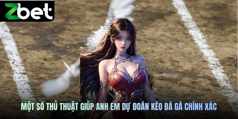 Một số thủ thuật giúp anh em dự đoán kèo đá gà chính xác